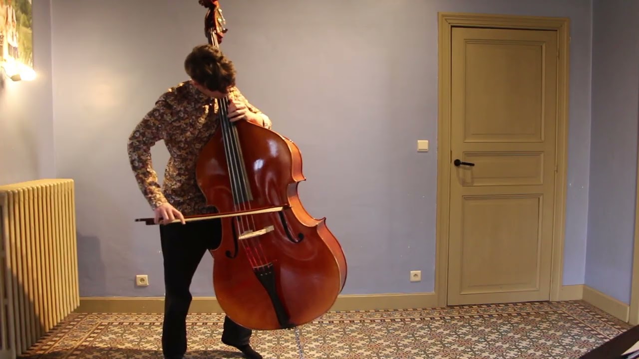 J.S. Bach - Cello Suite No. 2, IV. Sarabande, Double Bass