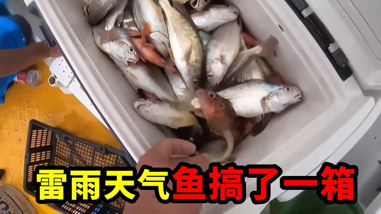 捅到石斑窩了，阿鋒跟著師傅海釣，又是深海石斑進貨的一天！【钓鱼大锋子】