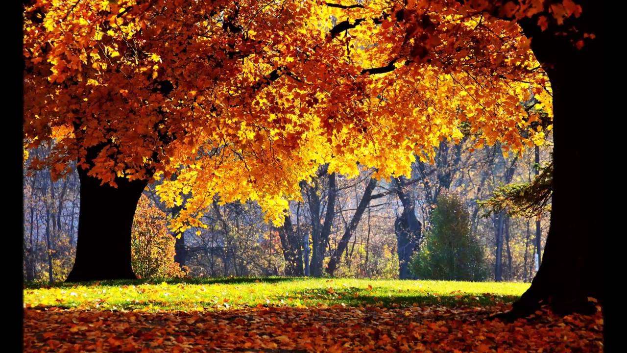 Indian Summer 