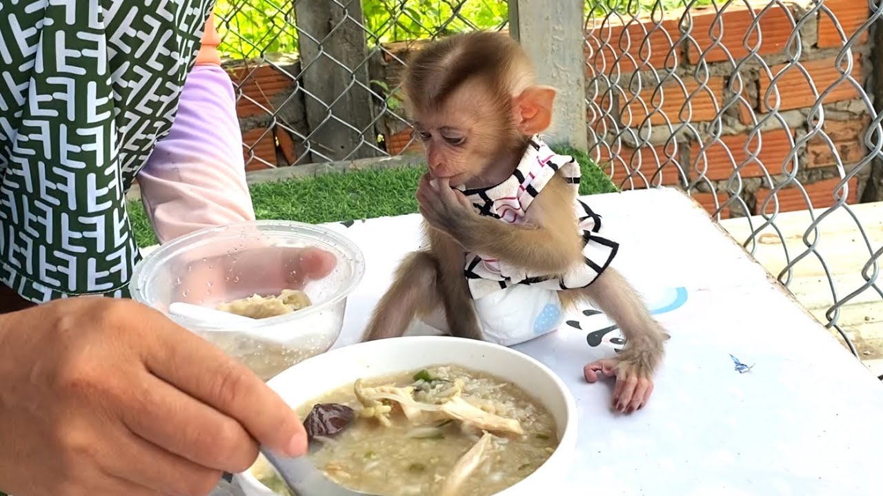 So much meat!! Smart kid LIORA is waiting for her mom to Prepare chicken porridge for her to eat