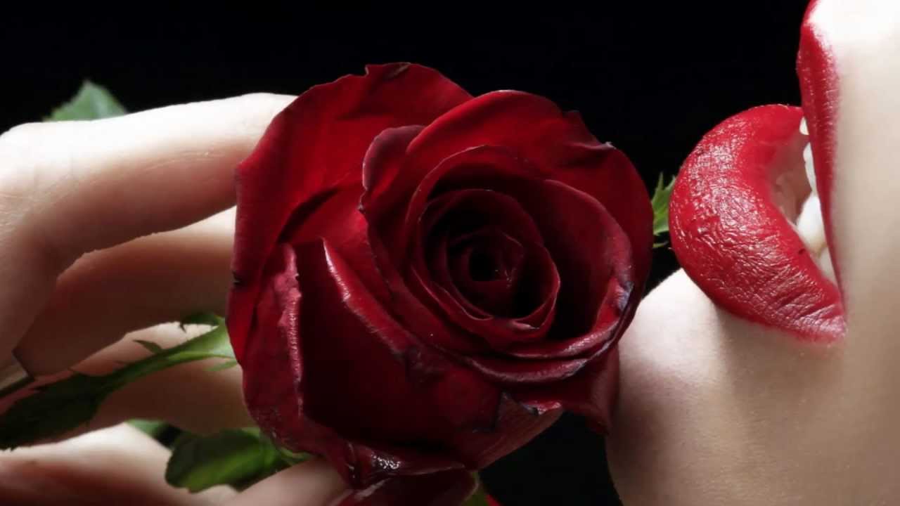 Valentine's Day Special Song by Swaroop Raj Acharya & Rajina Rimal - Gulabko Phool