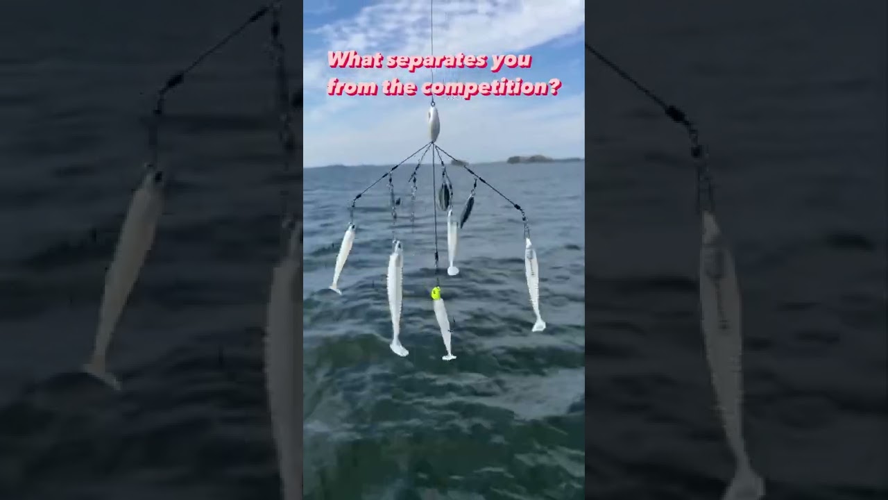 Nothing like the Alabama Rig!