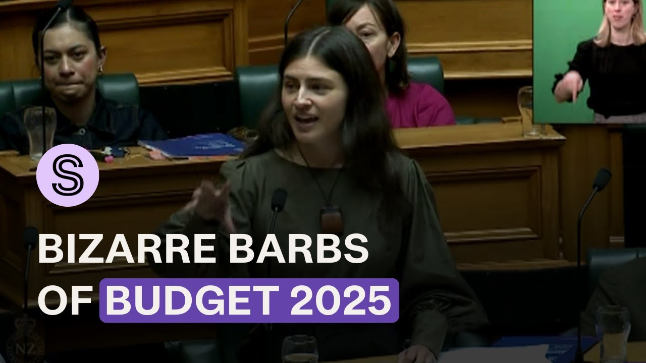 One-liners, zingers, personal attacks and bizarre barbs of Budget 2025 | Stuff.co.nz