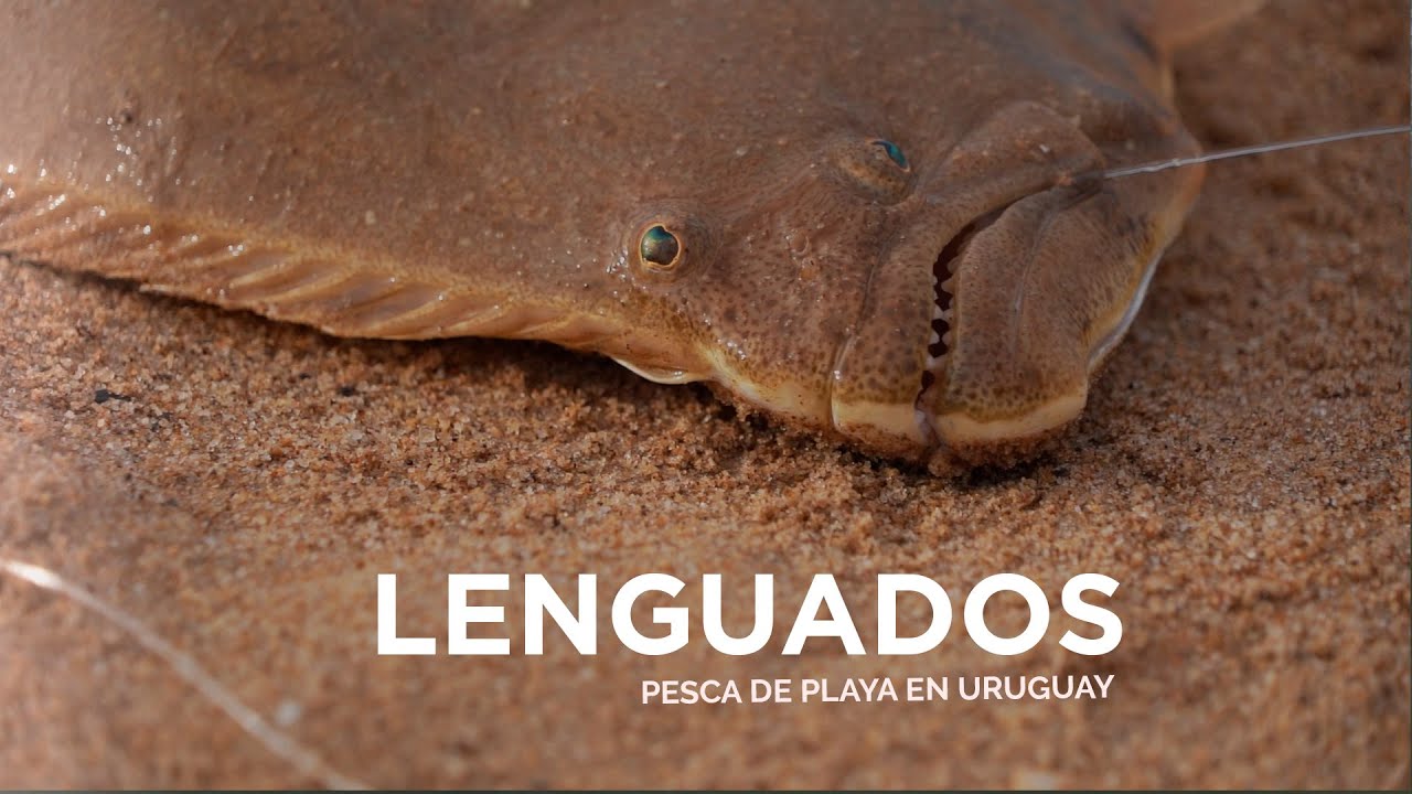 Pesca de LENGUADOS en Uruguay con Felipe Nakle. LADO B