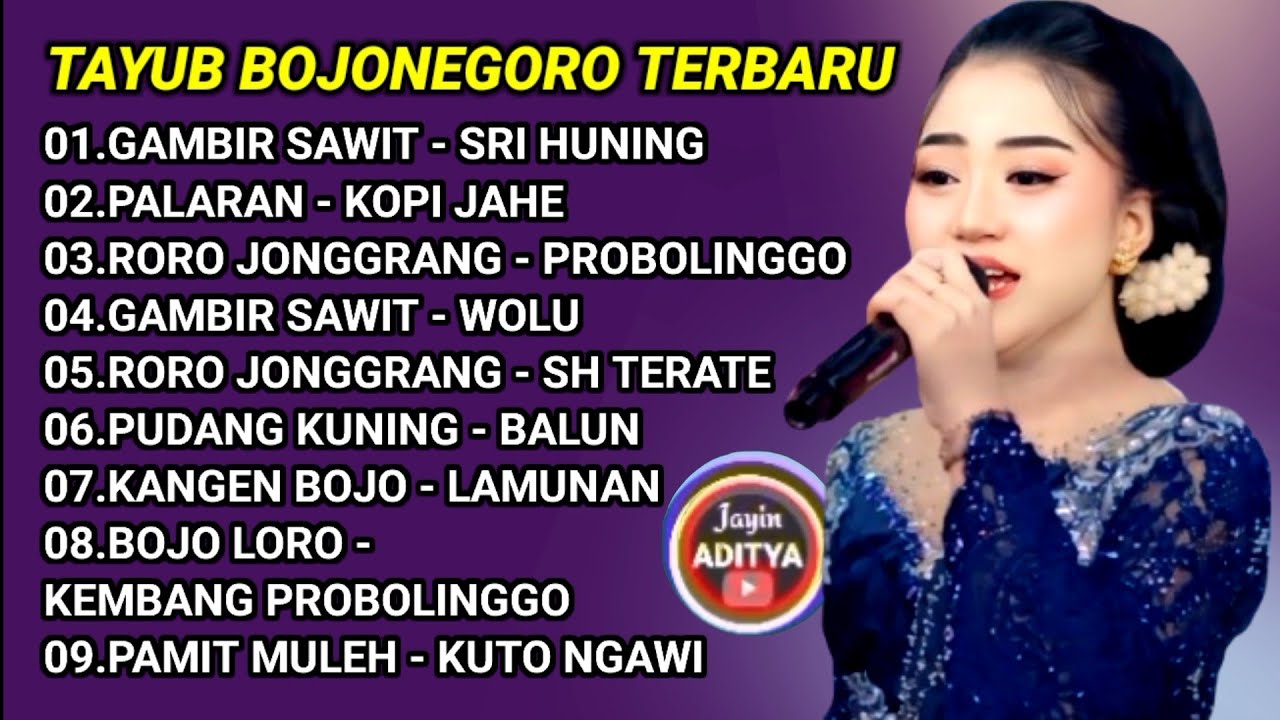 TAYUB BOJONEGORO TERBARU - Jalan Pedesaan