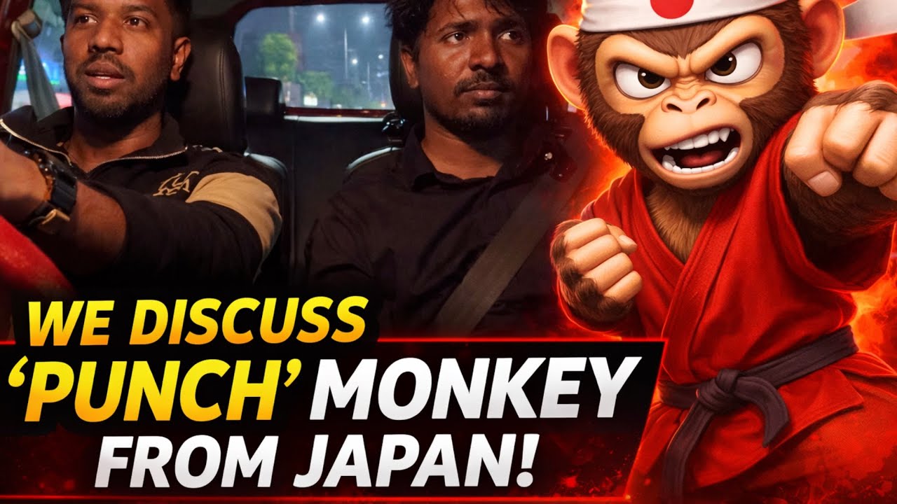 Punch the MONKEY