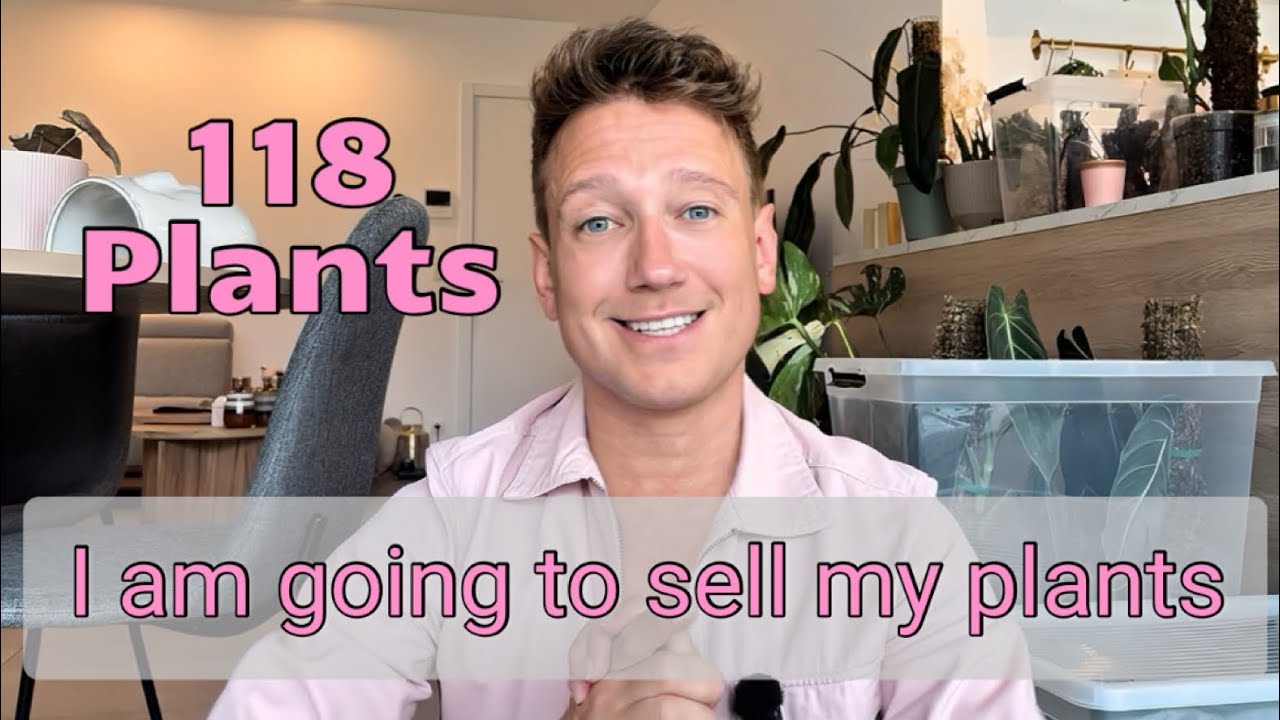 I’m gonna sell my plants 🤯😱