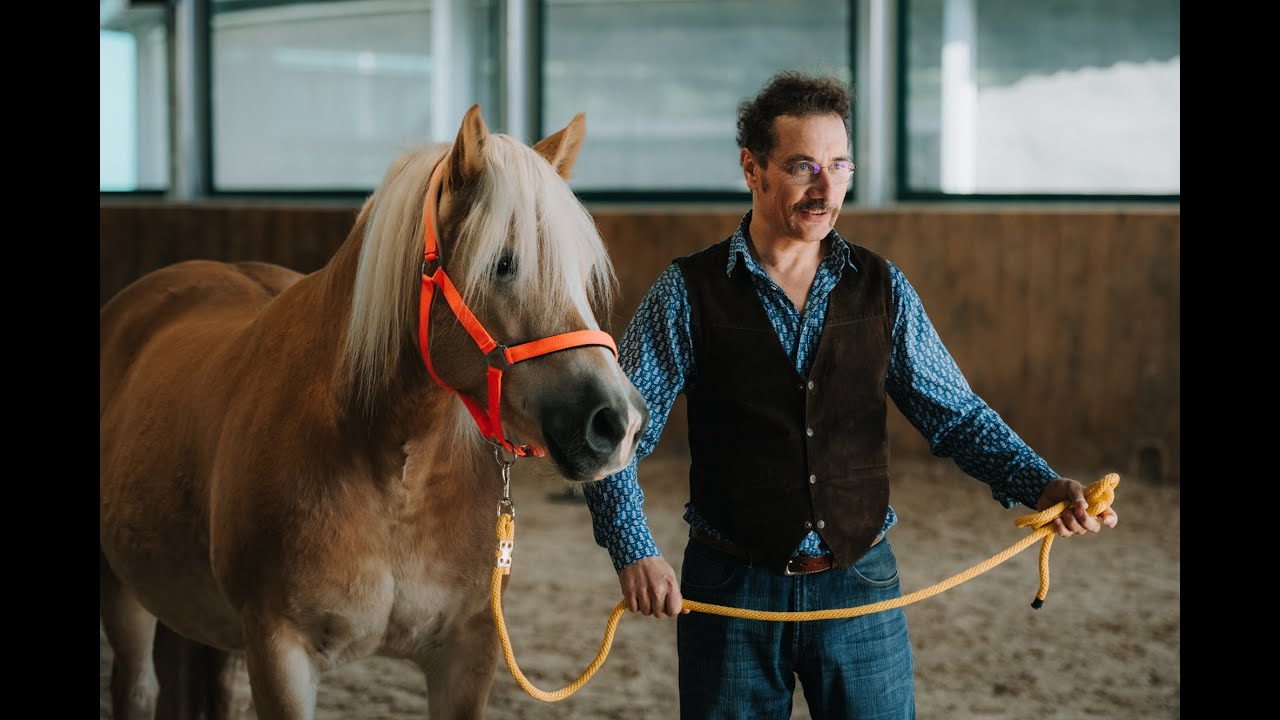 Horse Powered Business Learning - how it works, what clients are saying