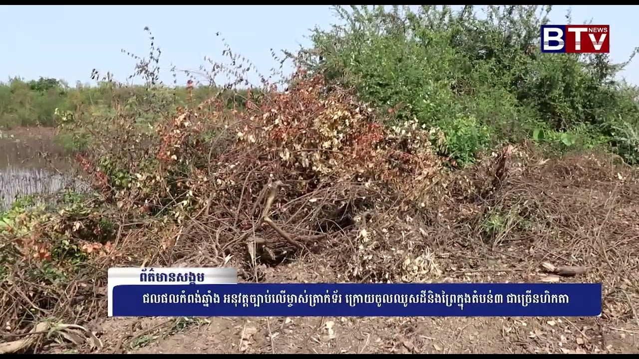 WATCH  ជលផលកំពង់ឆ្នាំង អនុវត្តច្បាប់លើម្ចាស់ត្រាក់ទ័រ ក្រោយចូលឈូសដីនិងព្រៃក្នុងតំបន់៣ ជាច្រើនហិកតា