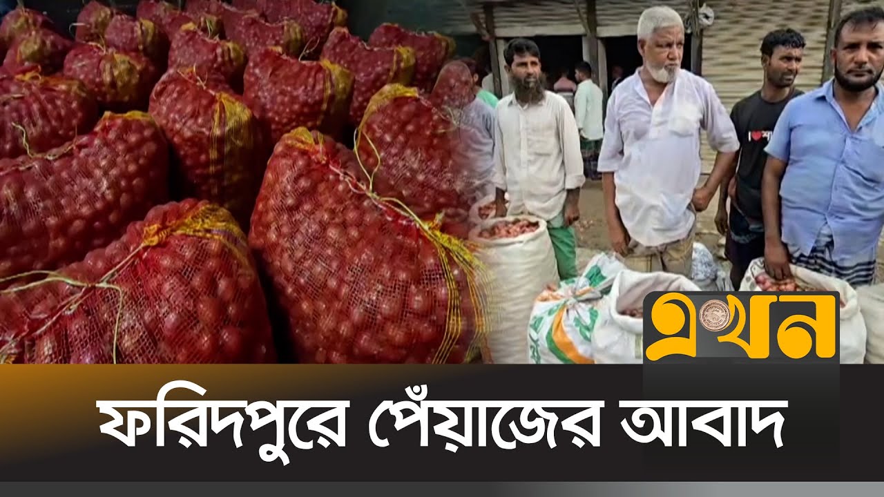 ক্ষেত থেকে পেঁয়াজ তুলছেন চাষীরা; বাজারে উঠলে কমবে দর | Faridpur News | Onion Price | Ekhon TV