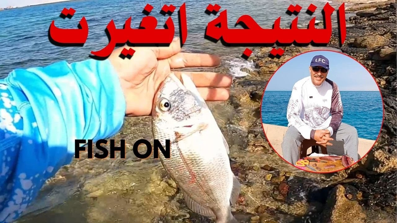 الطُعم اللي غيّر نتيجة الصيد من الشاطئ 🎣 ريحة وشكل يفرقوا 👌