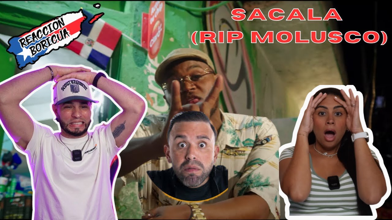 S&aacute;cala (Rip Molusco Tv) - Tinta De Asfalto (Reaccion)