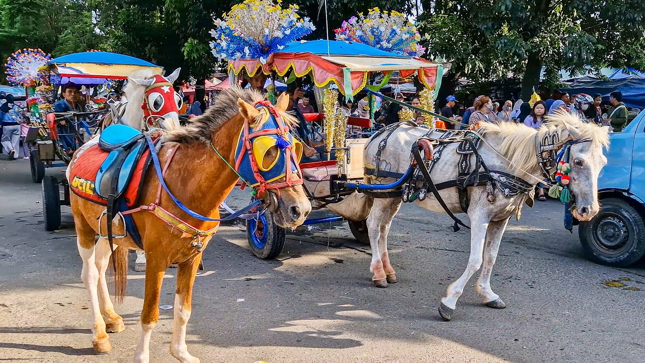 KUDA | KUDA DELMAN - KUDA ONDEL ONDEL | LAGU POPULER TEKOTEK KOTEK ANAK AYAM, CICIT CUIT