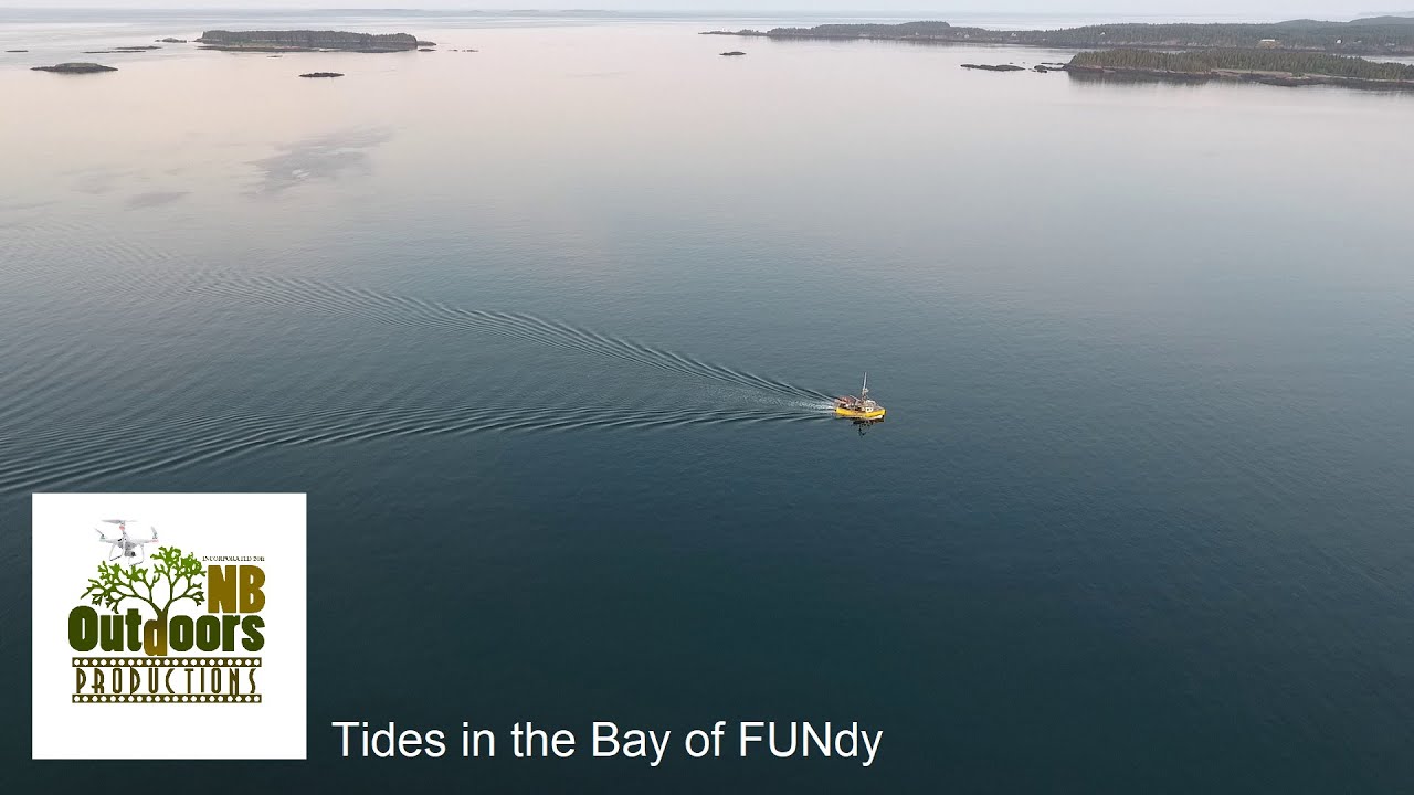 Tides in the Bay of Fundy