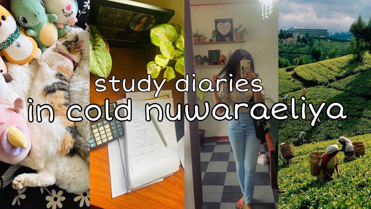 සීතල නුවරඑලියෙ දවසක් 🌧️🌵📚 A day in my life| new  house plants🪴|cute stationary🎀#studyvlog