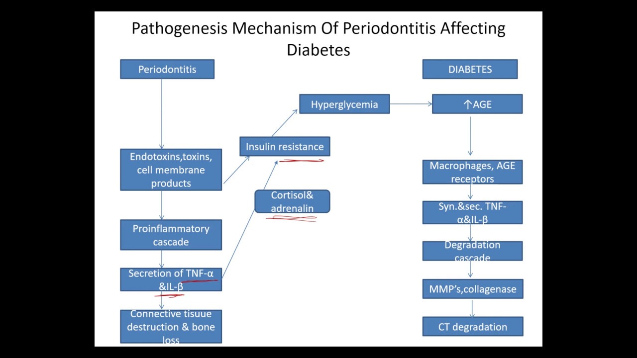 Part-3:how diabetes affect periodontium#periodontal ligament#periodontology#pathogenesis of diabetes