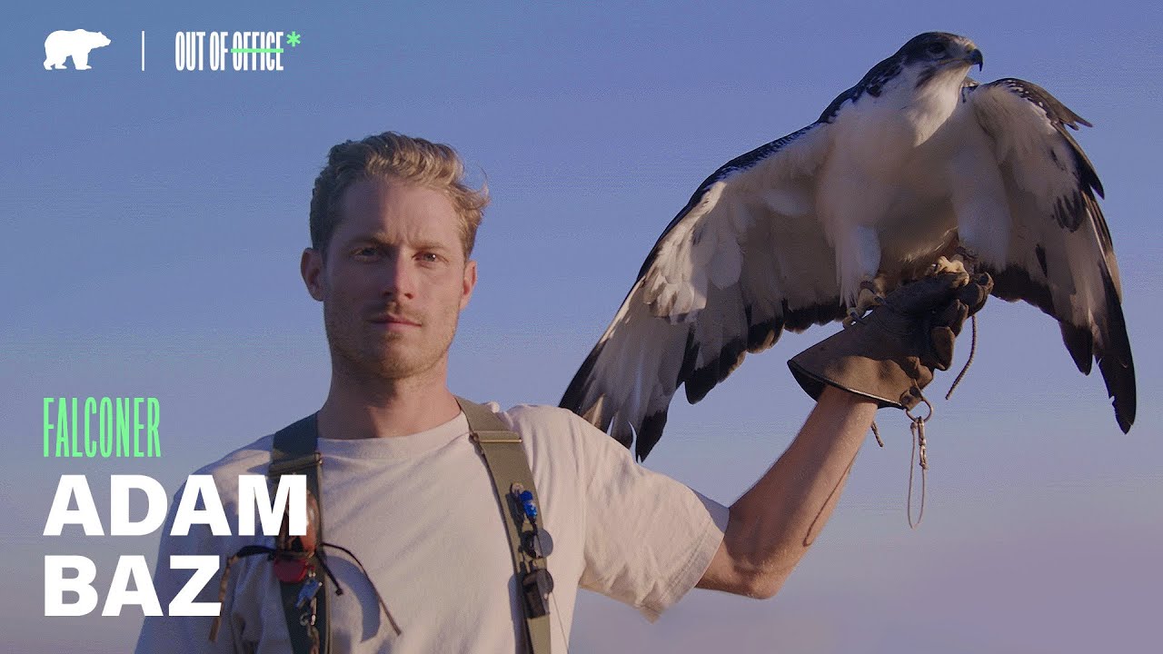 Out of Office: Falconer Adam Baz | Golden State