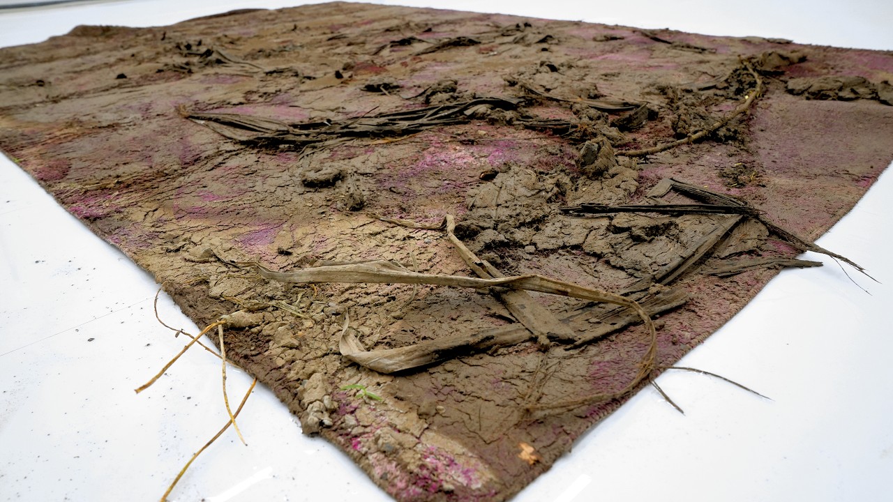 Rock-Hard Mud and Leaves Destroyed This Rug - Can Deep Cleaning Save It? - Carpet Cleaning ASMR