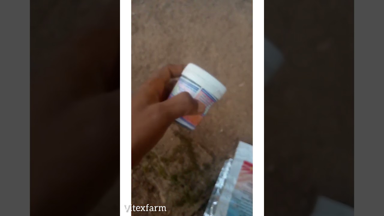 How to treat infectious coryza in your poultry bird/infectious coryza/poultry diseases/vitexfarm.