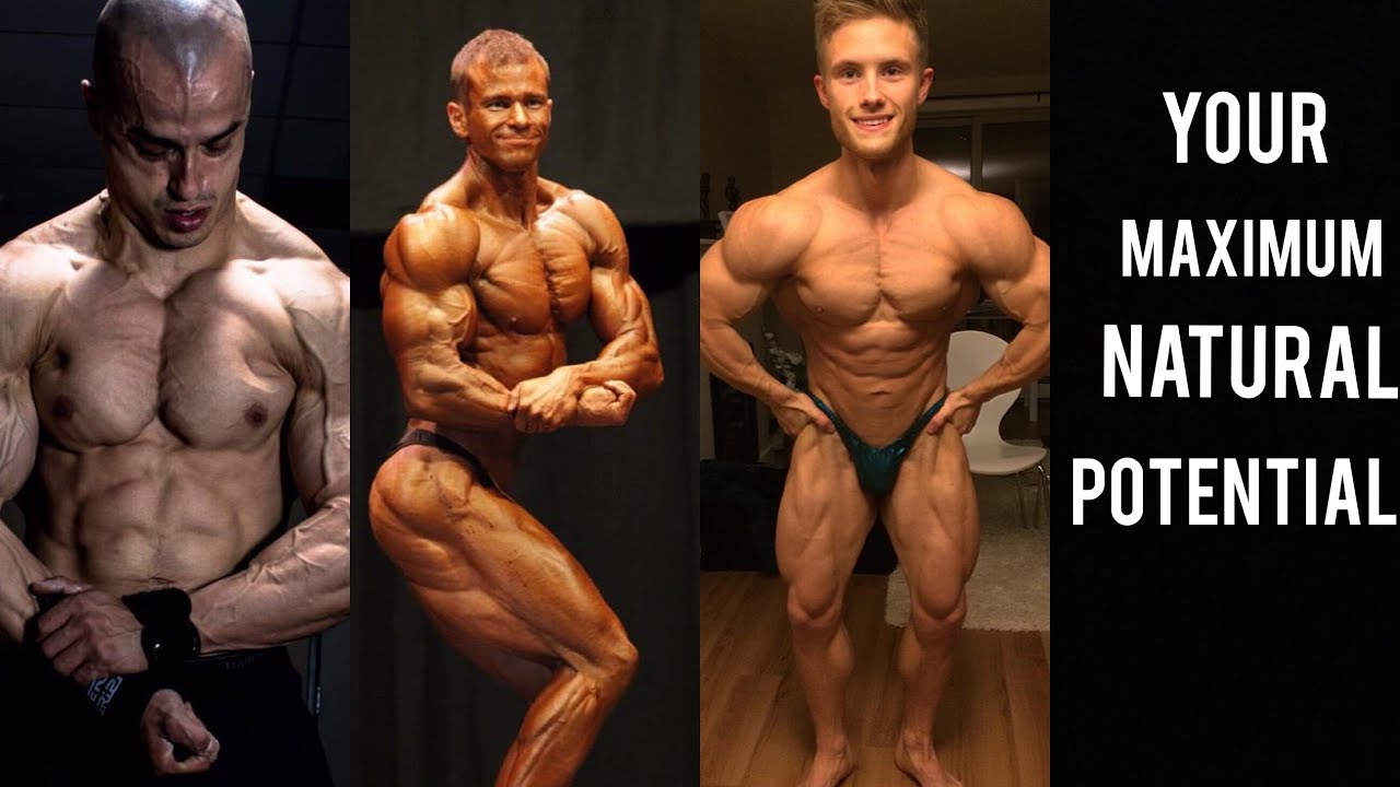 How much Muscle can you Build Naturally? (With Examples)