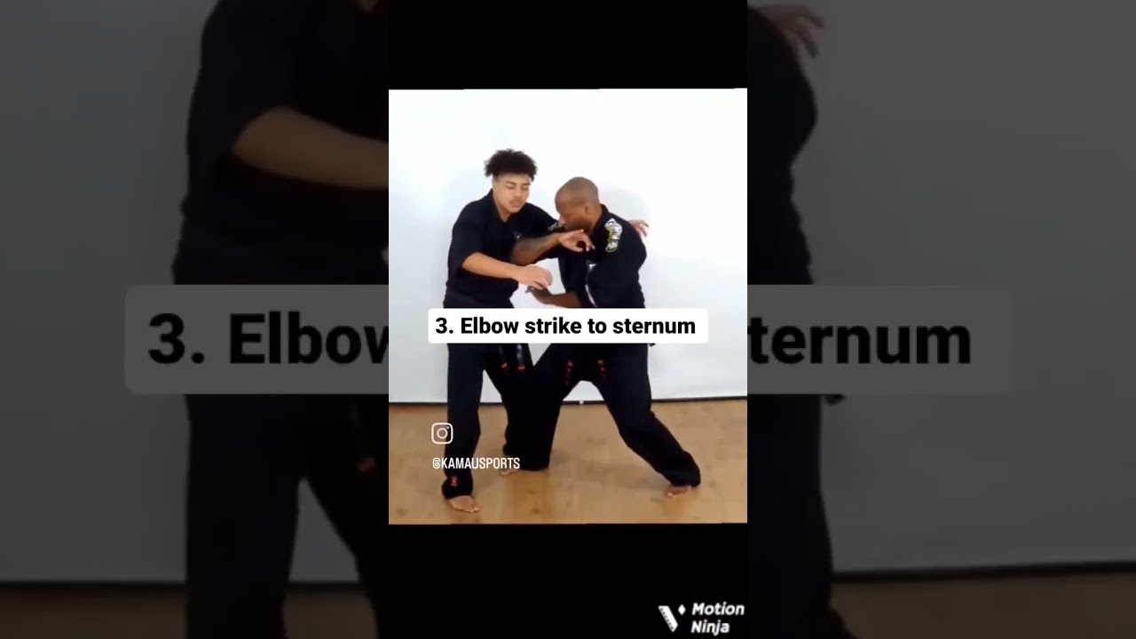 Kenpo: Shielding Hammer - Left roundhouse punch Defense.