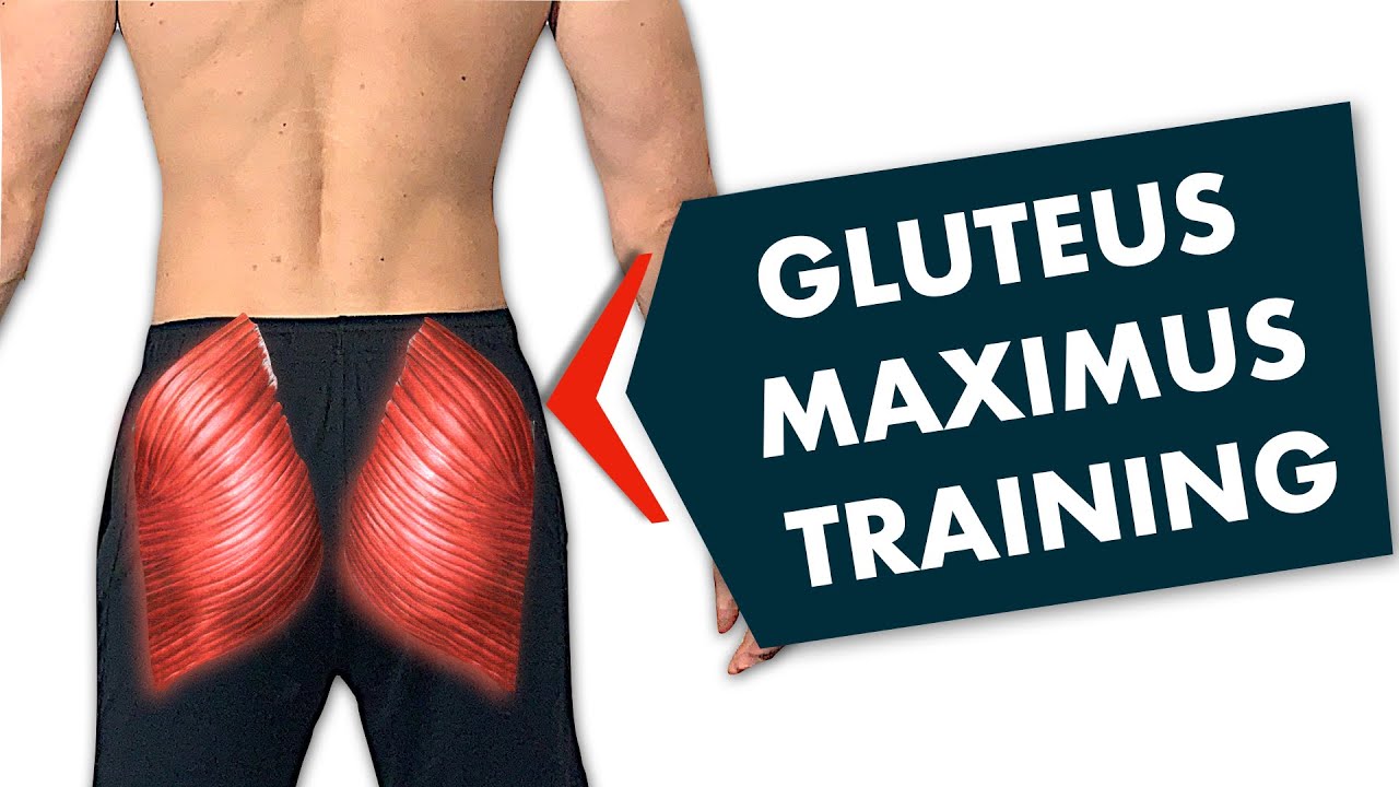Gluteus maximus trainieren 🍑 bei Rückenschmerzen!