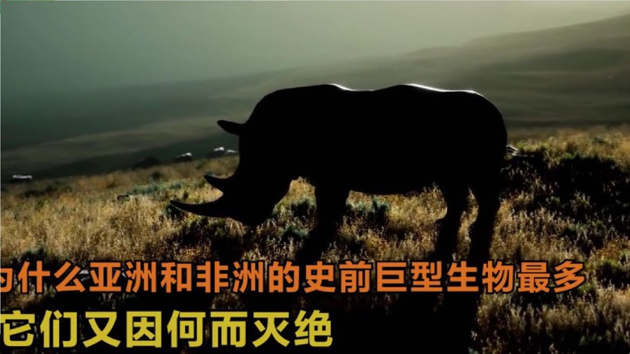 更新世時期，亞洲和非洲都生存著哪些巨型生物，它們又因何而滅絕