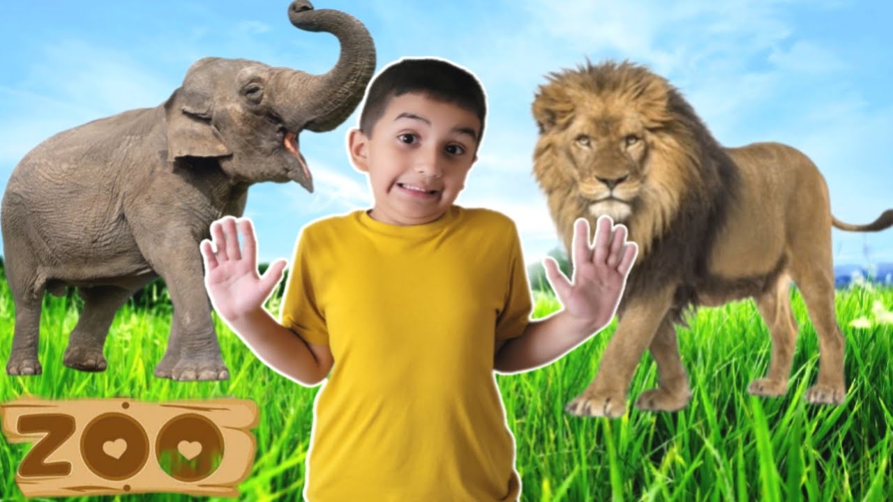 Zoo animals for Kids | Kids activities