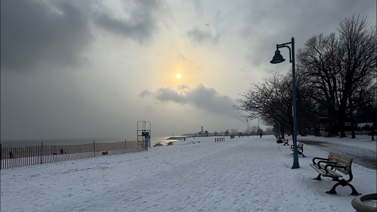 Lunch Break Walk to Lake Ontario | Relaxing ASMR Winter Vibes