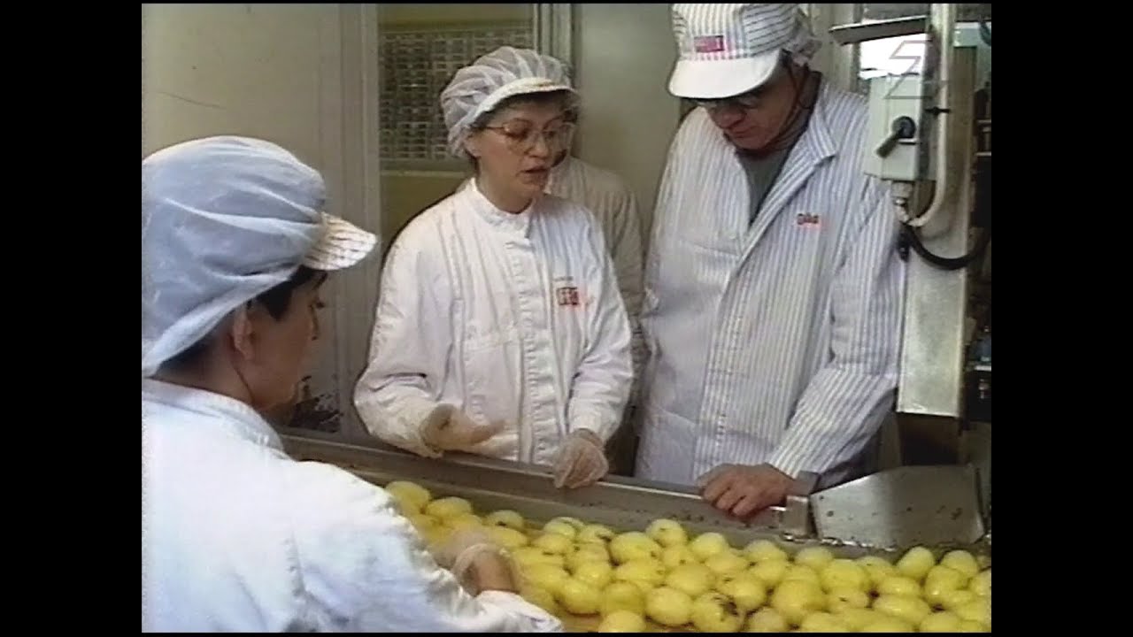 Mat-Sverige - E04 Matindustrin (SVT 1993-05-03)