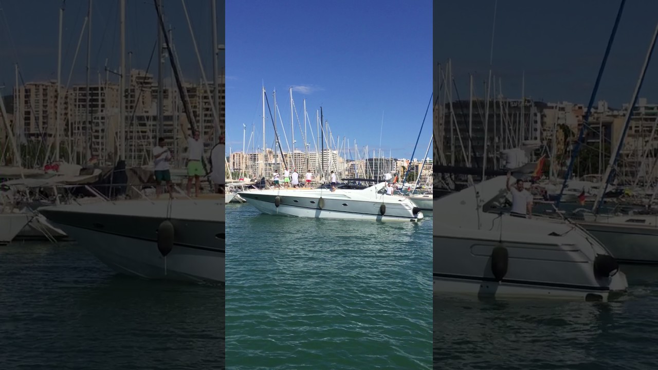 Charter Sunseeker by Balear Boat Service | Mallorca