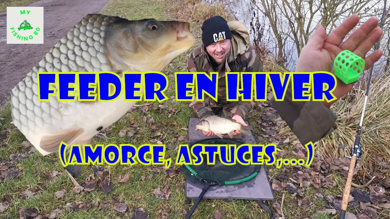 REUSSIR L'HIVER AU FEEDER!!! (AMORCE "MAISON", ASTUCES,....)