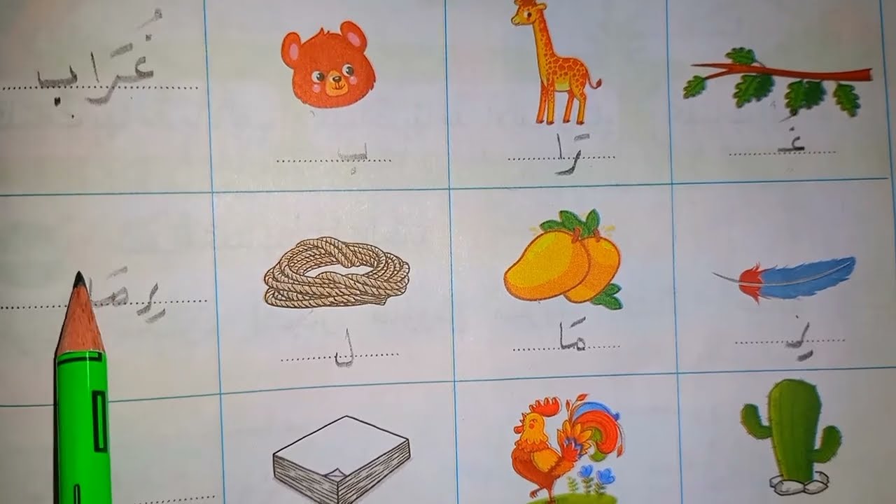 أنشطة عامة على المحور الثالث الصف الاول الابتدائي الترم الثاني