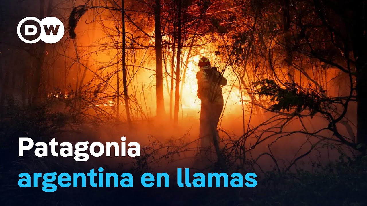 Incendios en la Patagonia argentina afectan 21.000 hect&aacute;reas y destruyen hogares