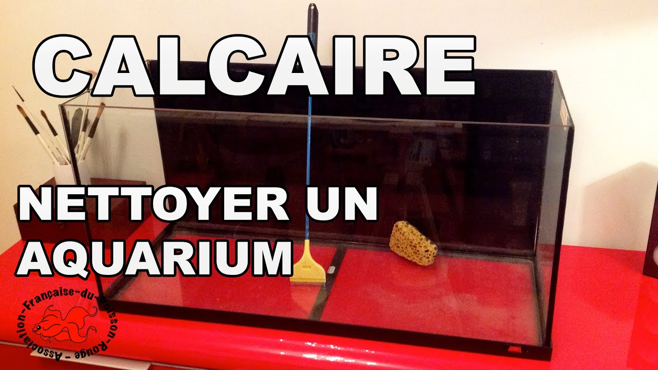 Nettoyer un aquarium d'occasion