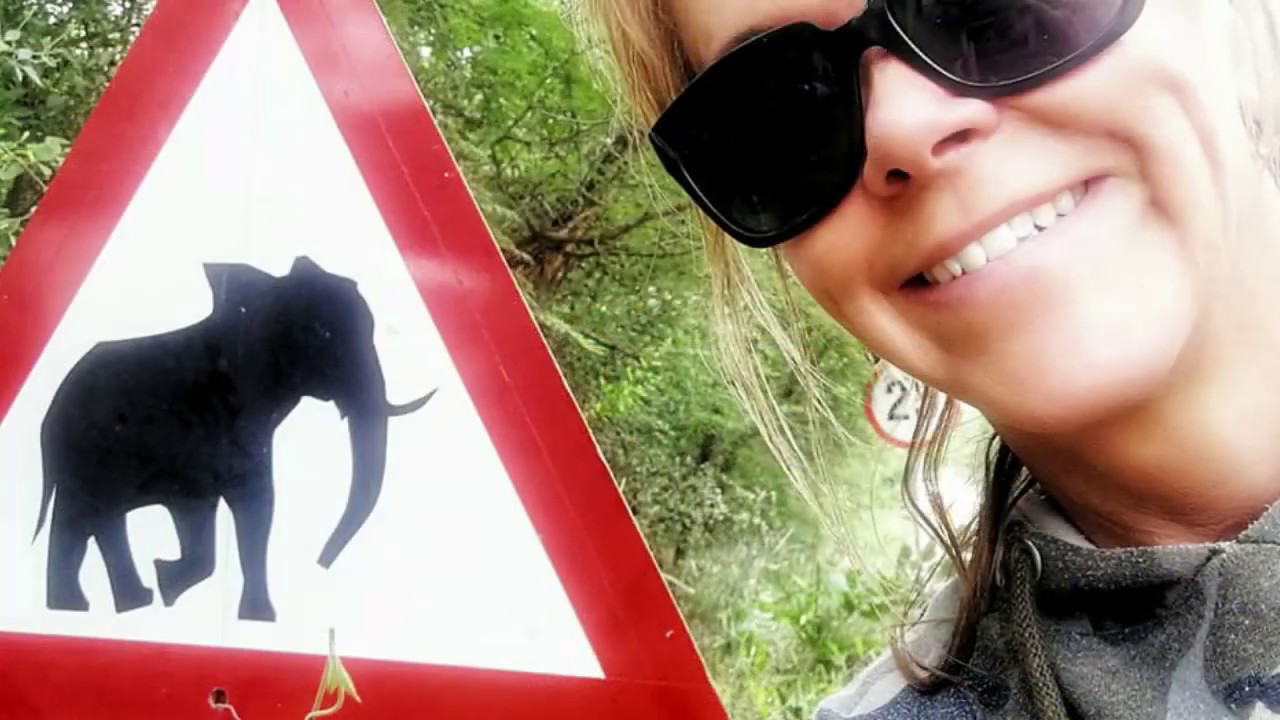 Kruger Video 2019 Part 1 of 3 Punda Maria Pafuri Lanner Gorge