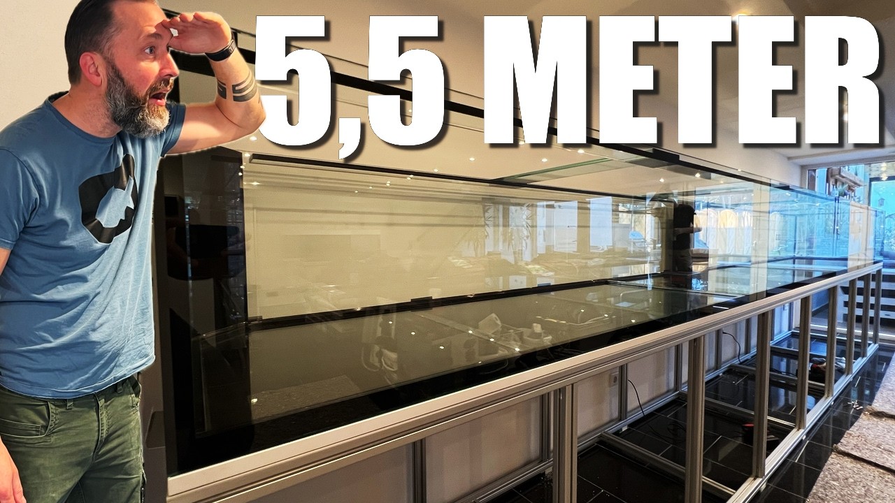 5,5 Meter - 1925 Liter Süßwasseraquarium! Technik und Einrichtung!