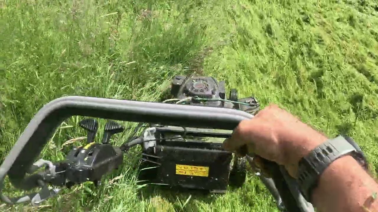 Ultimate Tall Grass Test! 🔥 Weibang WB 507 SCV Mower in Action