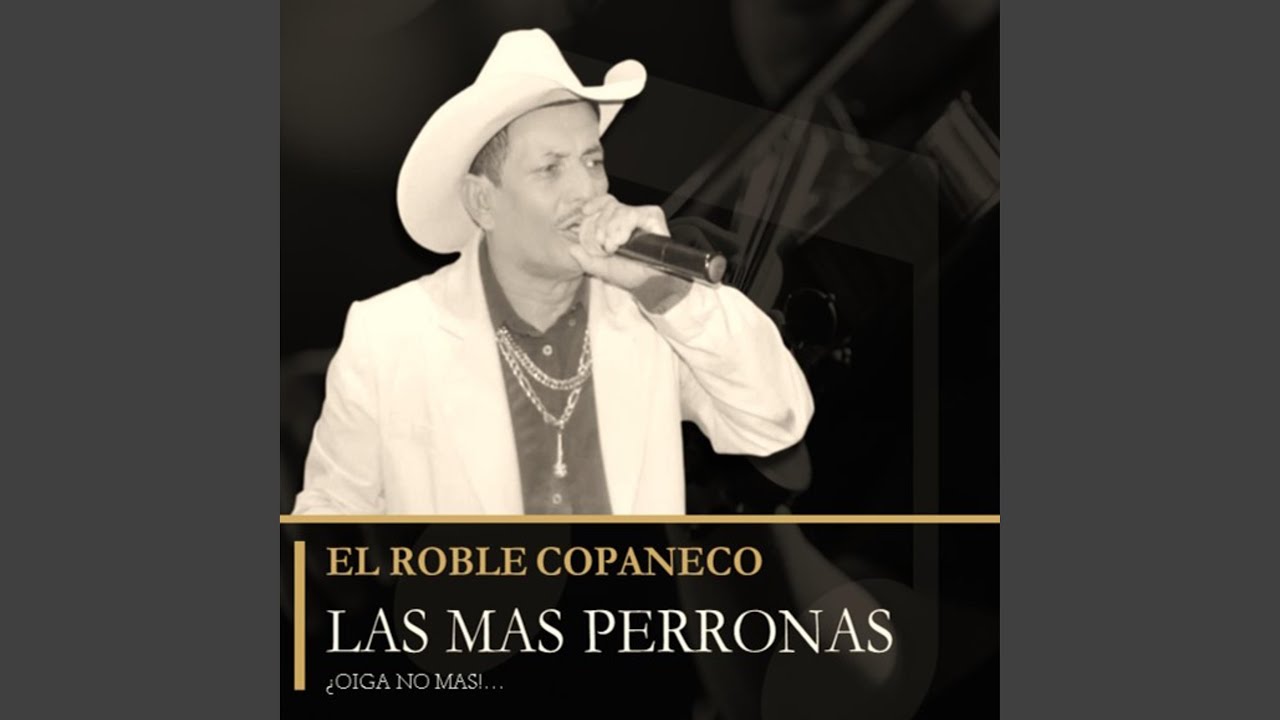 MIX LO MEJOR EL ROBLE COPANECO