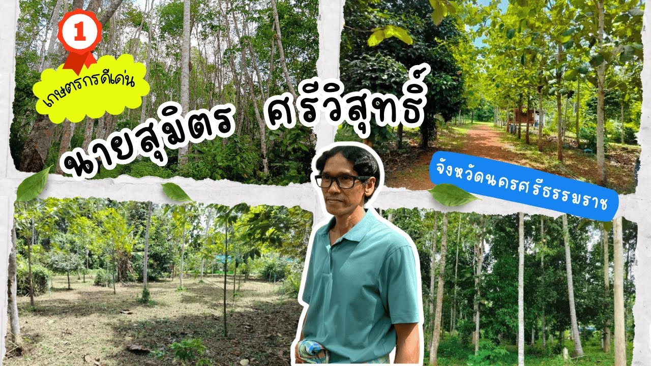 เกษตรกรดีเด่นสาขาอาชีพปลูกสวนป่าประจำปี2567 รางวัลชนะเลิศนายสุมิตร ศรีวิสุทธิ์ จังหวัดนครศรีธรรมราช