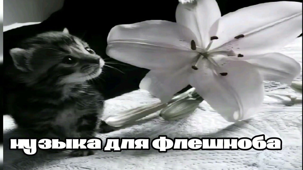 Музыка для флешмоба/2025/