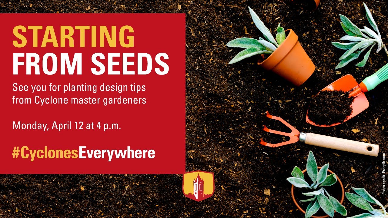 Virtual Gardening: Plant Design Tips &ndash; ISU Alumni Association