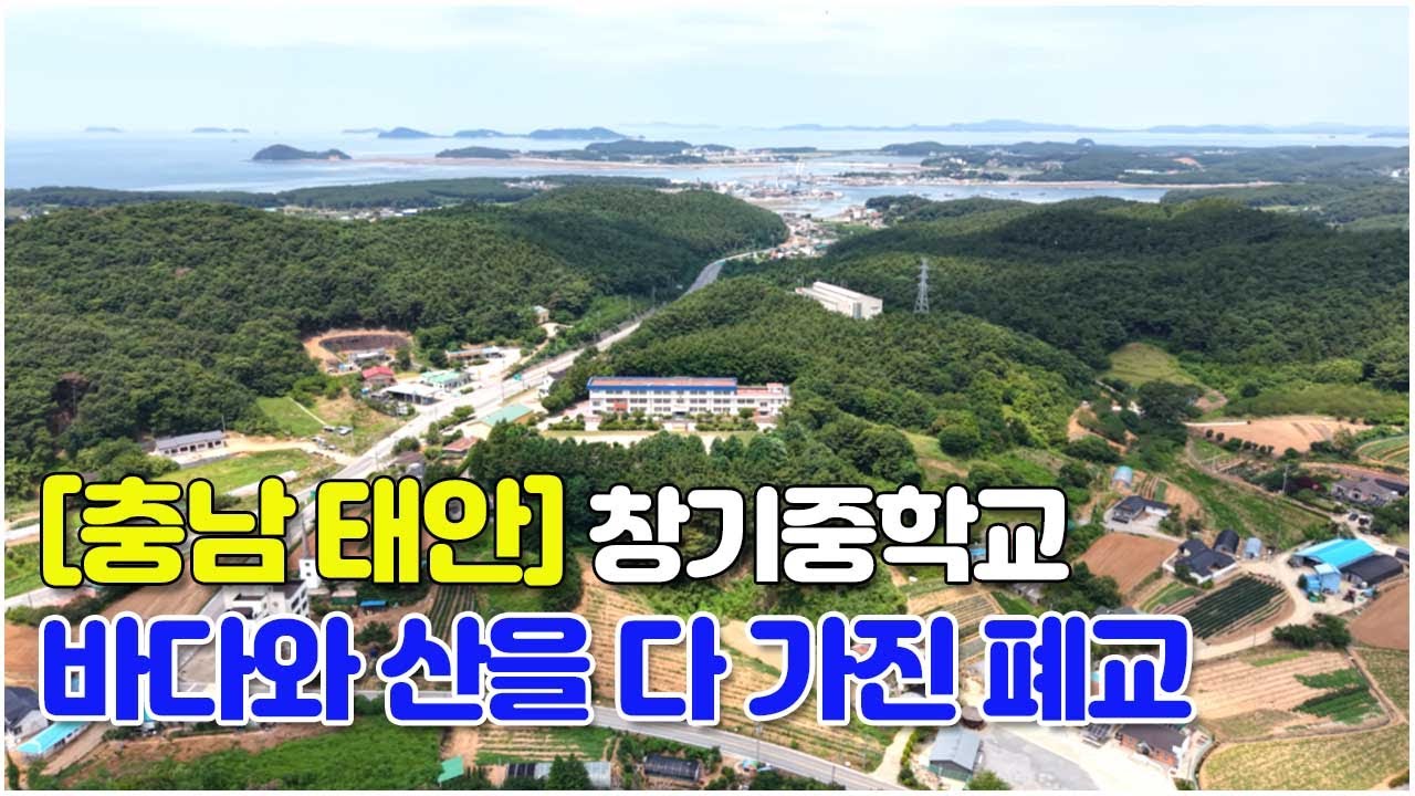 [충남 태안] 바다와 산을 다 가진 폐교 #폐교 #여행 #바닷가폐교