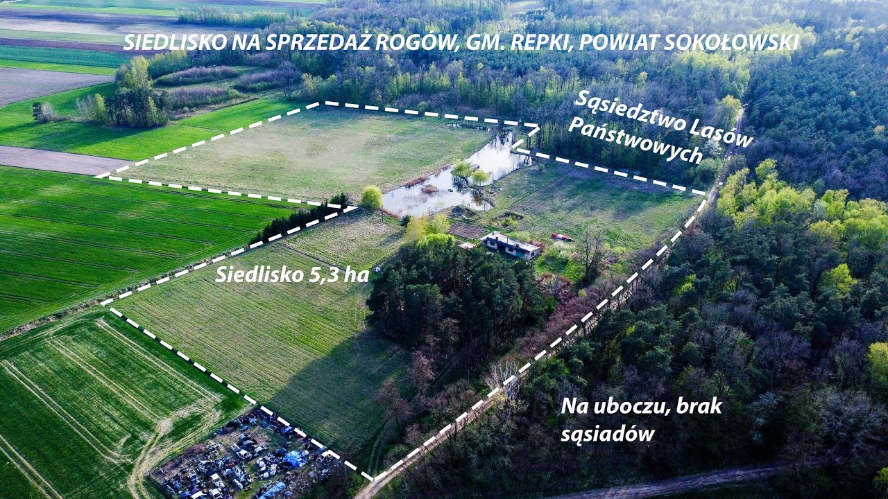 Na sprzedaż SIEDLISKO na UBOCZU, graniczące z LASEM PAŃSTWOWYM | 5.3 HA DZIAŁKI | Zobacz prezentację