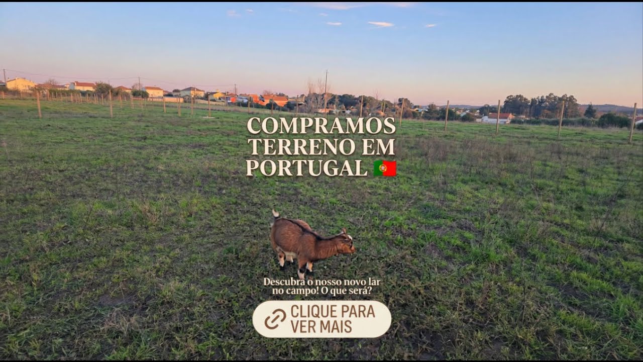 🌿Vida em Portugal: Apresentação do Terreno da Nossa Quinta!