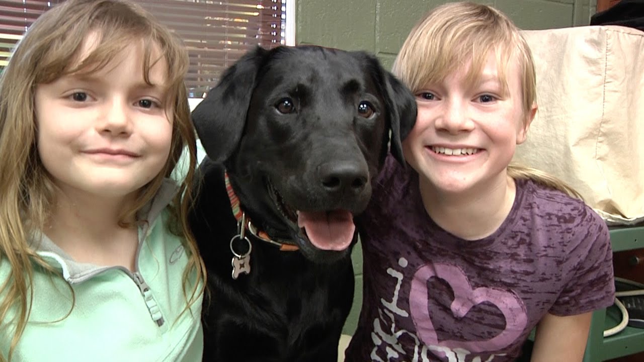 Meet Lucie - Therapy Dog