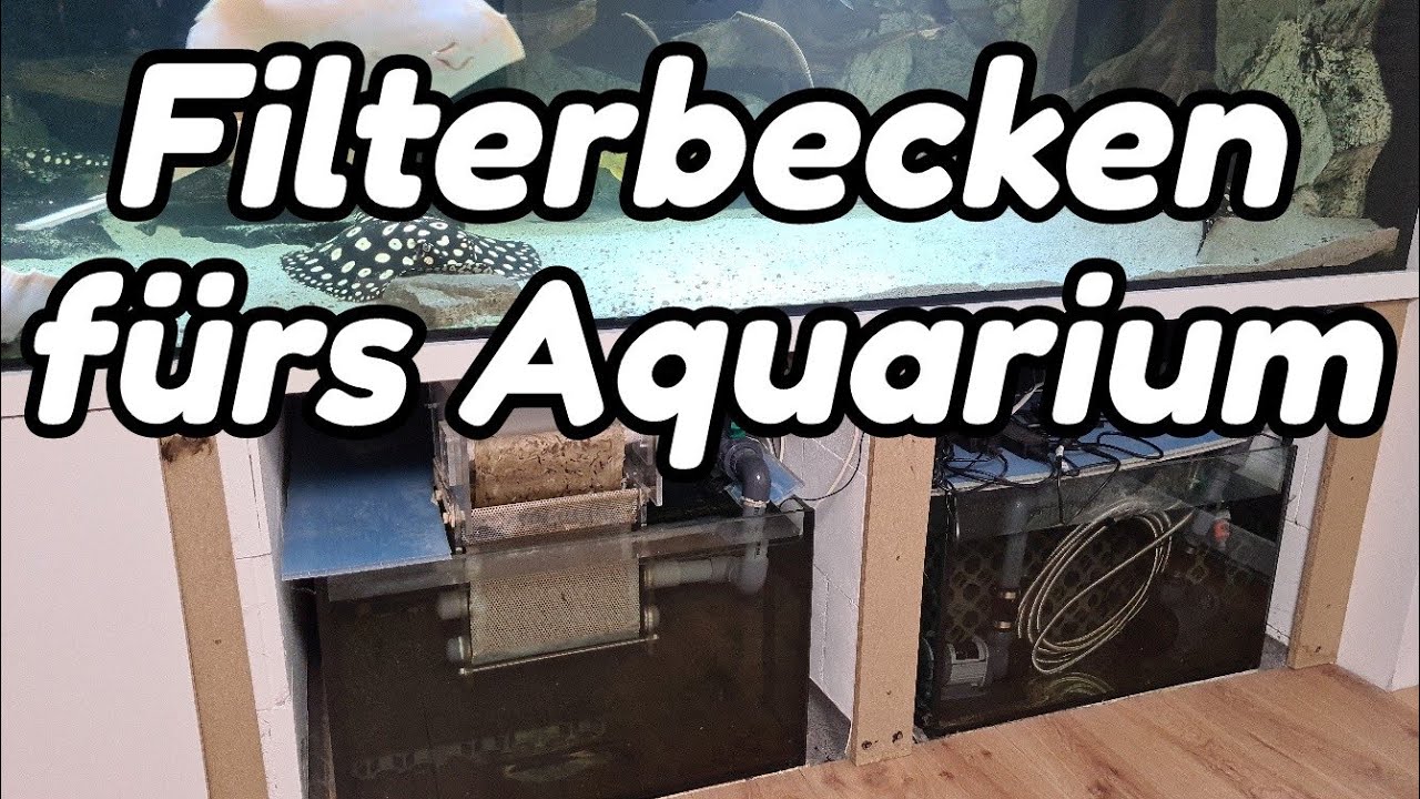 Filterbecken fürs Aquarium - Aufteilung der Kammern - Wieviel Filtervolumen braucht man