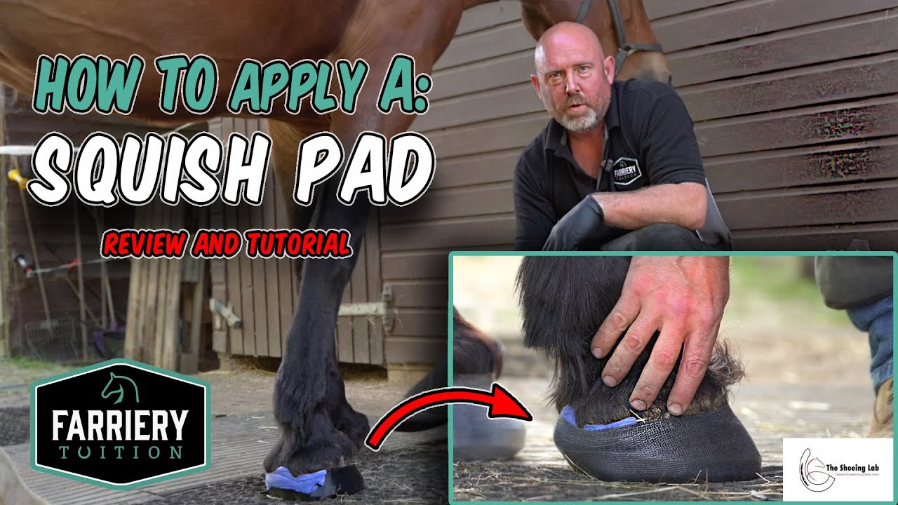 Review of 'Squish Pad' and Fitting Tutorial