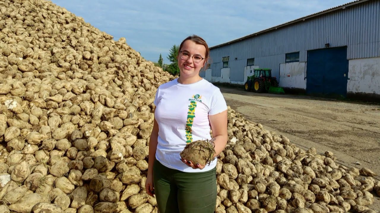 Agromechanizátor, opravár - SOŠ obchodu a služieb, Nové Mesto nad Váhom