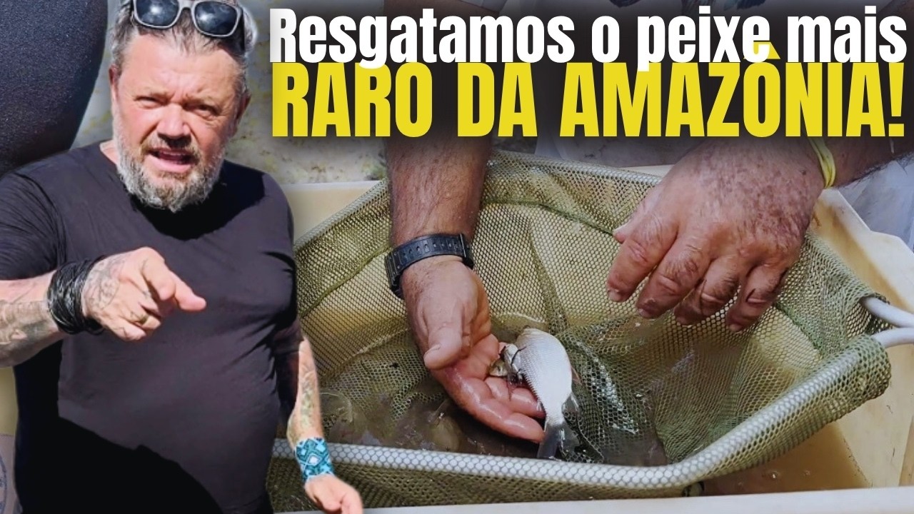 O PEIXE MAIS RARO DA AMAZ&Ocirc;NIA: PEIXE DAS NUVENS! 🌧️🐠